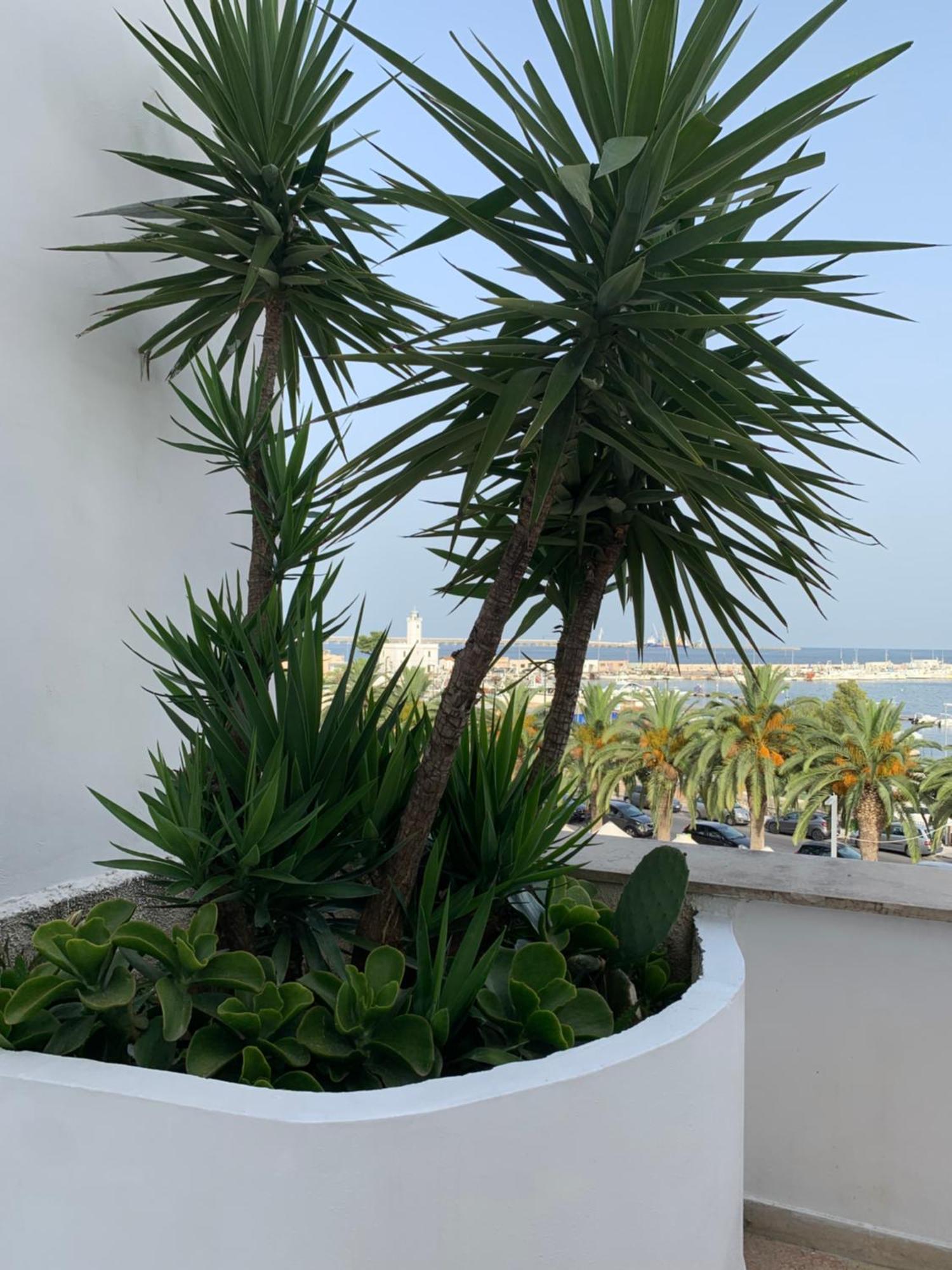 Terrazza Diomede- Manfredi Homes & Villas Manfredonia Dış mekan fotoğraf